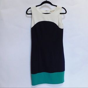 Color block sleeveless sheath dress
